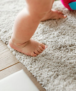 bj carpet cleaning stain removal whangarei